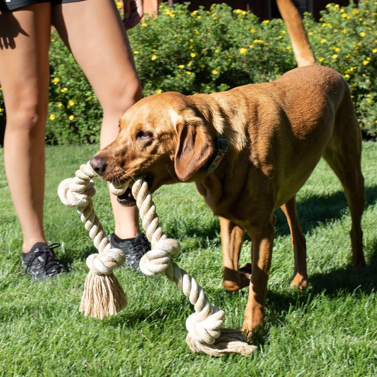 Fida Heavy Duty Cotton Rope Dog Toy – 92cm Indestructible Tug of War Chew Toy for Large Dogs