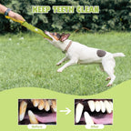 CHAWONER Snuffle Treat Dispensing Squeaky Dog Toy – No-Stuffing Puzzle Toy for Small, Medium & Large Dogs