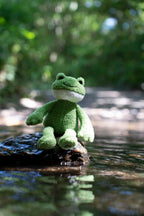 (Little ) Finlay Frog Plush Dog Toy with Built-In Squeaker, Lightweight Puppy Toy (Pack of 1)