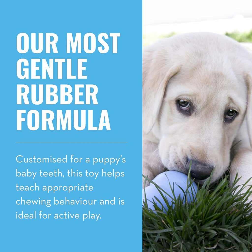 KONG Puppy Stuffable Chew Toy – Soft Natural Rubber Teething Toy for Medium Puppies