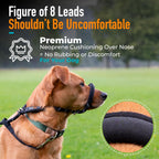 Figure of 8 Anti-Pull Dog Lead – Padded Nose Rope Slip Lead for Medium & Large Dogs