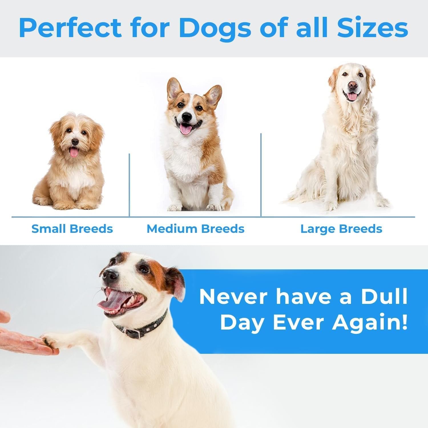 2-Pack Cotton Rope Dog Toys – Durable Tug-of-War Chew Toys for Large Dogs & Aggressive Chewers