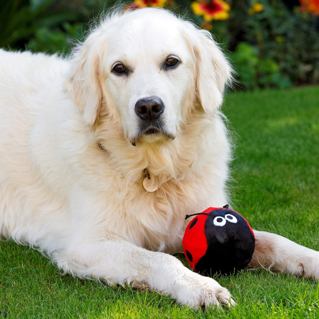 Lindy the Ladybird Plush Squeaky Dog Toy – Soft Cuddly Fetch Toy for Dogs