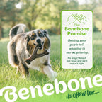 Benebone Wishbone Dog Chew Toy – Long Lasting Bacon Flavour Chew for Medium Dogs