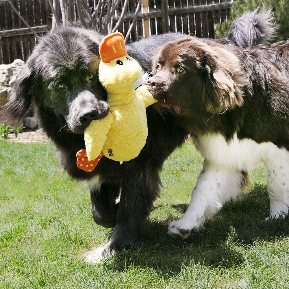 KONG Comfort Jumbo Duck Dog Toy – XL Plush Squeaky Cuddly Toy for Large Dogs
