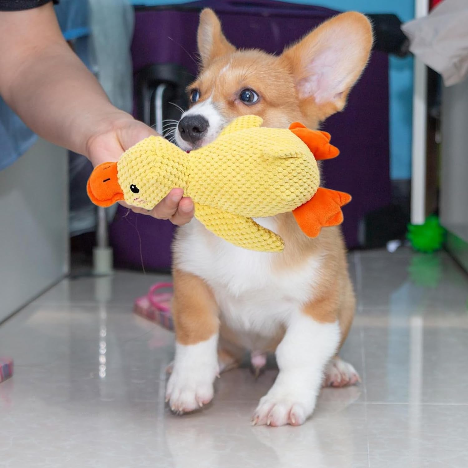 Yellow Duck Plush Squeaky Dog Toy – Calming Anti-Stress Chew Toy for Dogs of All Sizes