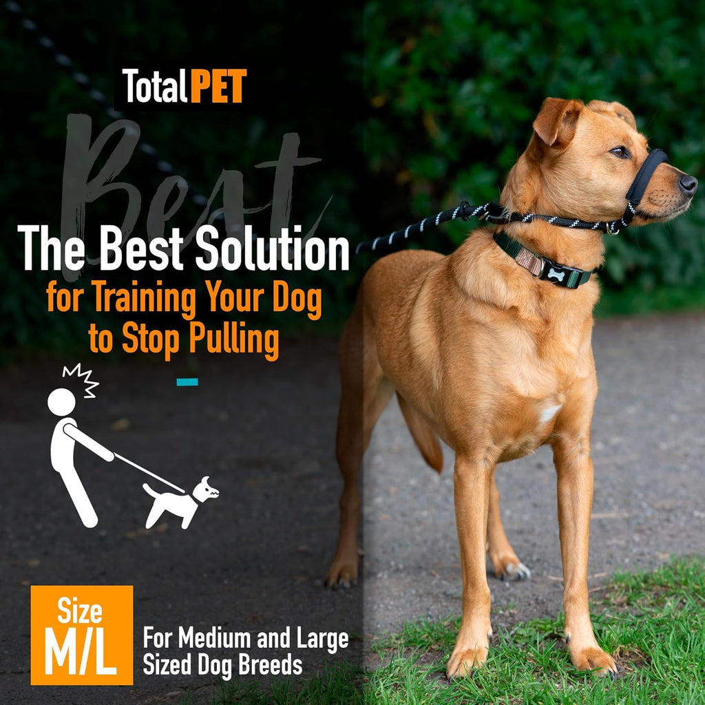 Figure of 8 Anti-Pull Dog Lead – Padded Nose Rope Slip Lead for Medium & Large Dogs