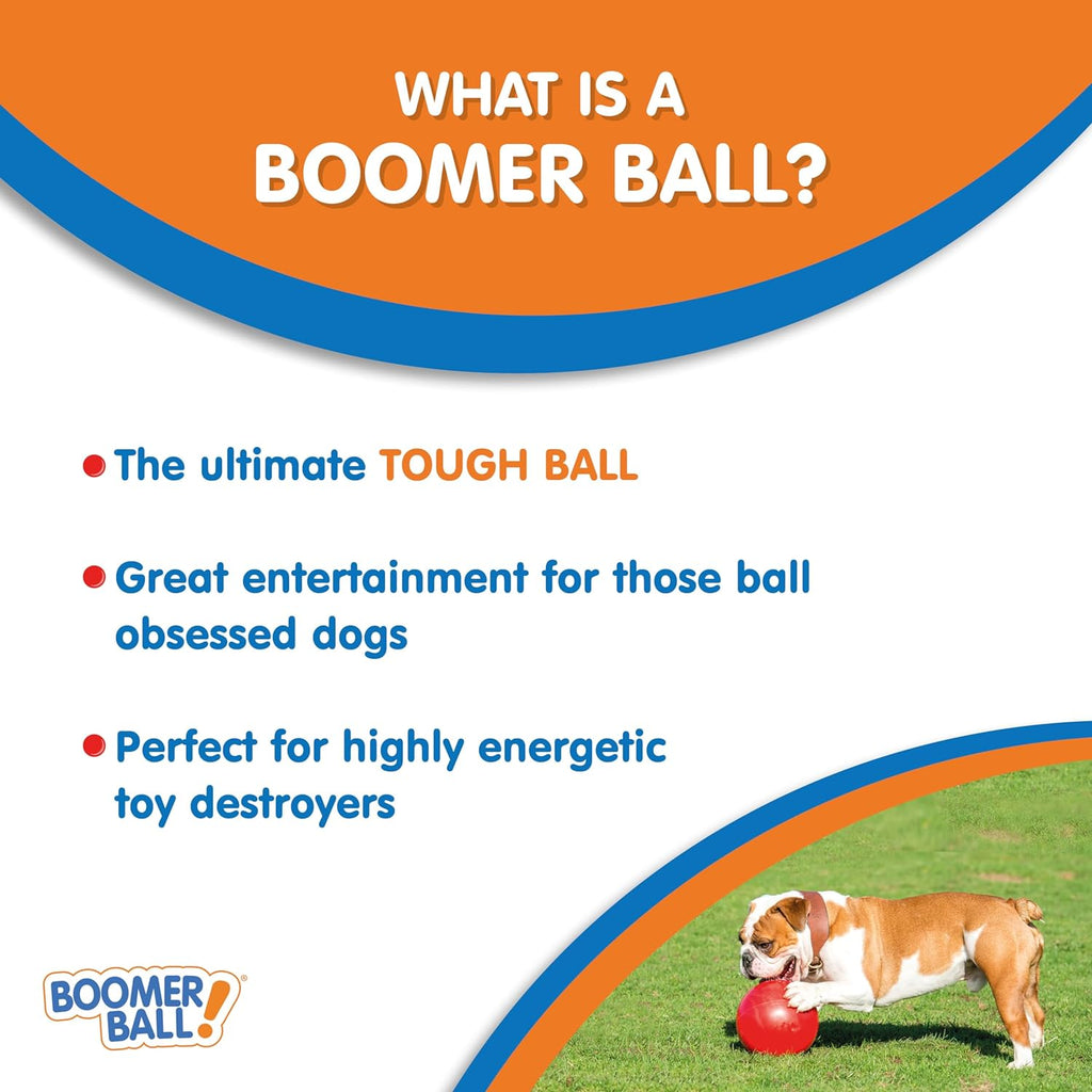Boomer Ball 8 Inch – Virtually Indestructible Dog Ball for High Energy & Large Dogs