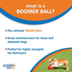 Boomer Ball 8 Inch – Virtually Indestructible Dog Ball for High Energy & Large Dogs