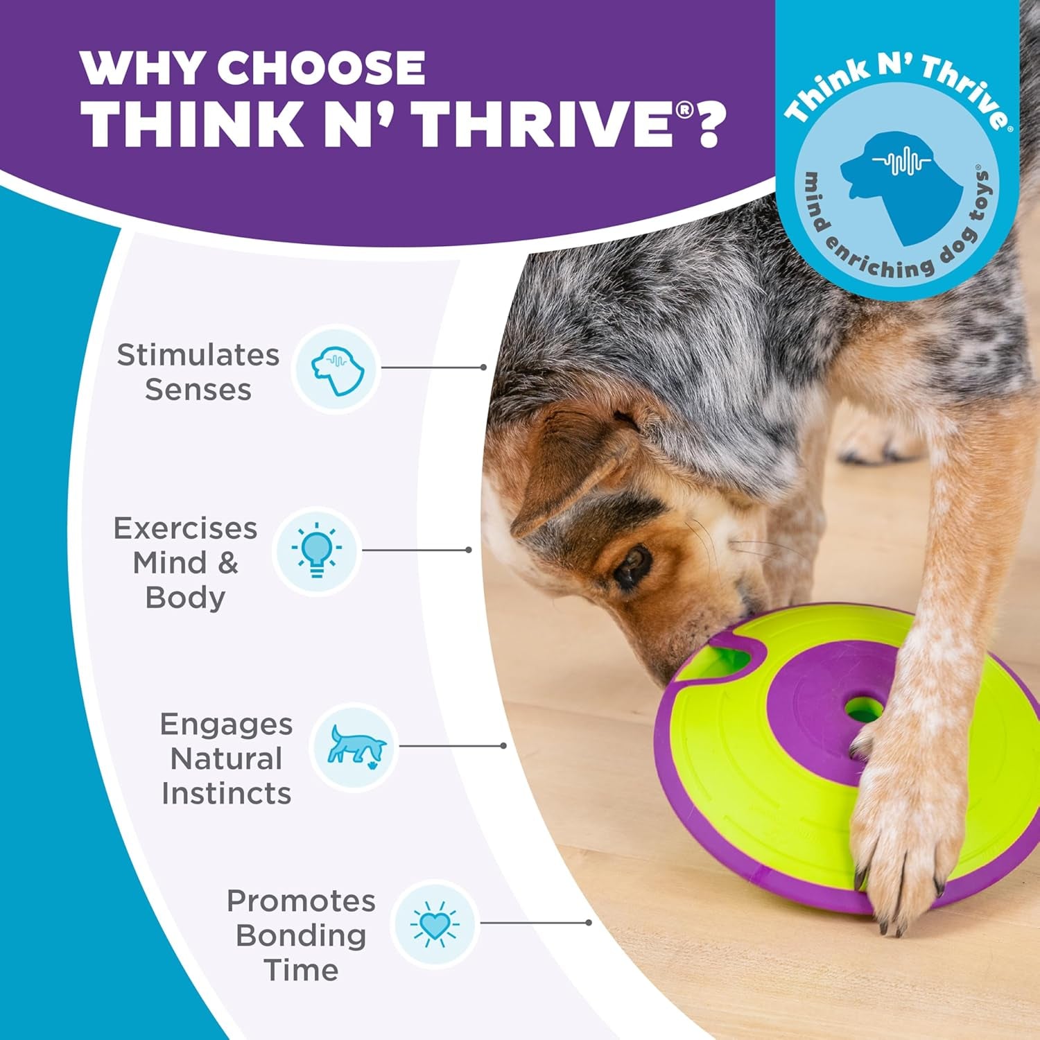 Nina Ottosson Treat Maze Puzzle Toy – Level 2 Interactive Treat Dispenser for Mental Stimulation & Dog Enrichment
