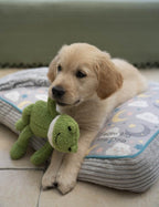 (Little ) Finlay Frog Plush Dog Toy with Built-In Squeaker, Lightweight Puppy Toy (Pack of 1)