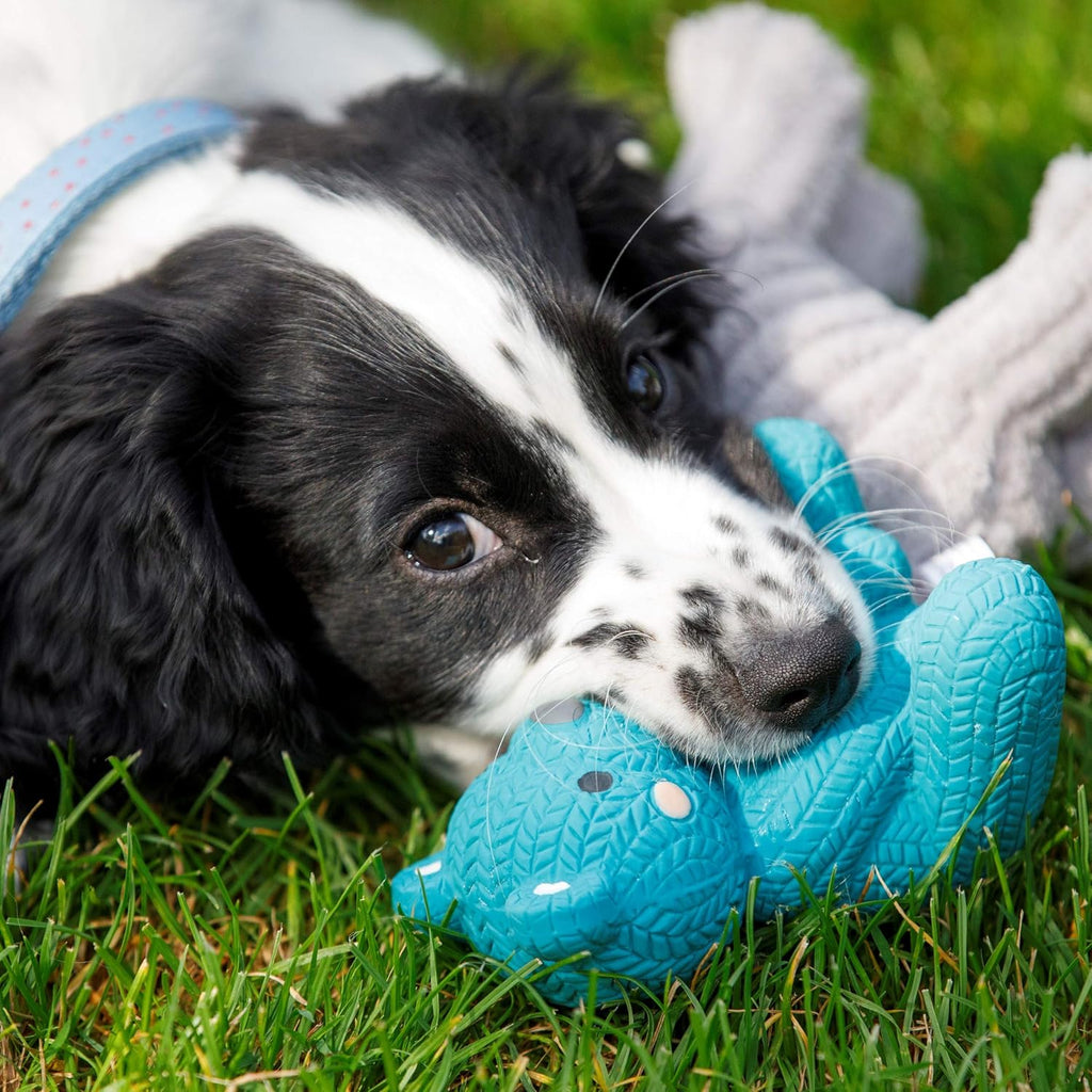 Petface Latex Teddy Bear Squeaky Dog Toy – Soft Blue Chew Toy for Puppies & Small Dogs
