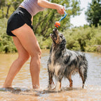 Chuckit Ultra Tug Duo Dog Toy – Two-Ball Tug of War & Fetch Toy for All Dogs