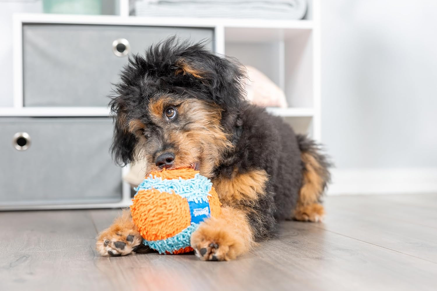 Chuckit Indoor Soft Dog Ball – No-Stuffing Plush Fetch Toy for Puppies & Light to Medium Chewers (11cm)