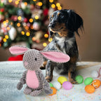 Easter Bunny Squeaky Plush Dog Toy – Soft Chew Toy with Rope Legs for Small, Medium & Large Dogs