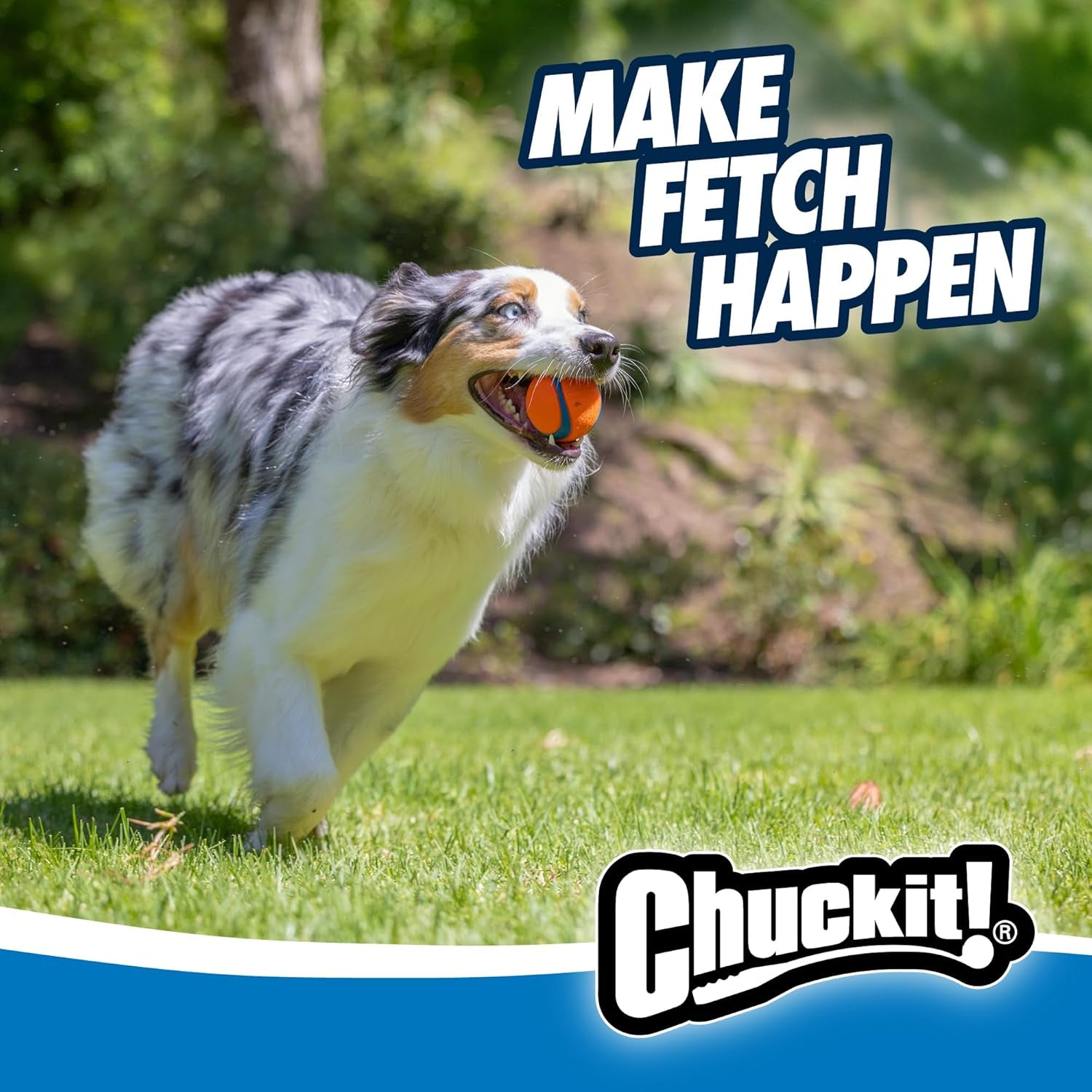 Chuckit Ultra Ball – High Bounce Durable Rubber Fetch Dog Ball, Launcher Compatible 