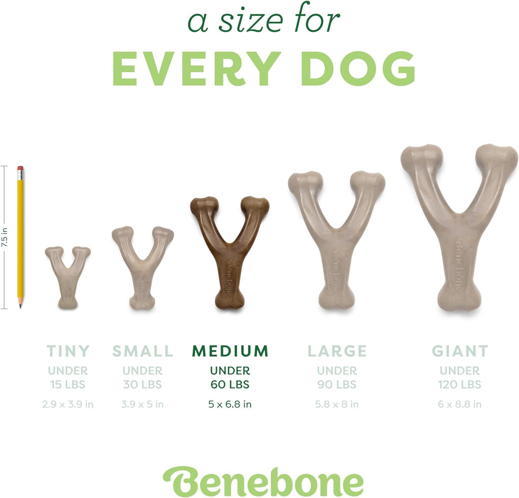 Benebone Wishbone Dog Chew Toy – Long Lasting Bacon Flavour Chew for Medium Dogs