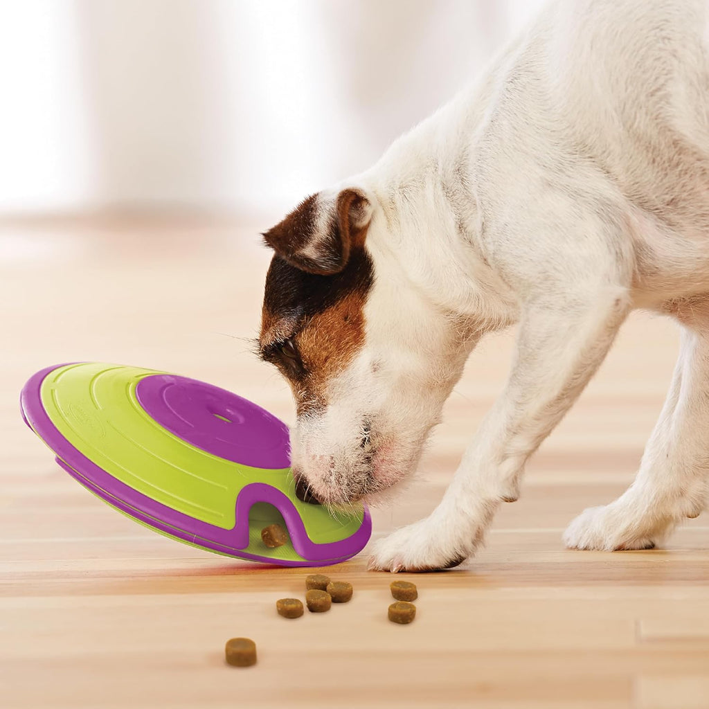 Nina Ottosson Treat Maze Puzzle Toy – Level 2 Interactive Treat Dispenser for Mental Stimulation & Dog Enrichment