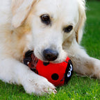 Lindy the Ladybird Plush Squeaky Dog Toy – Soft Cuddly Fetch Toy for Dogs