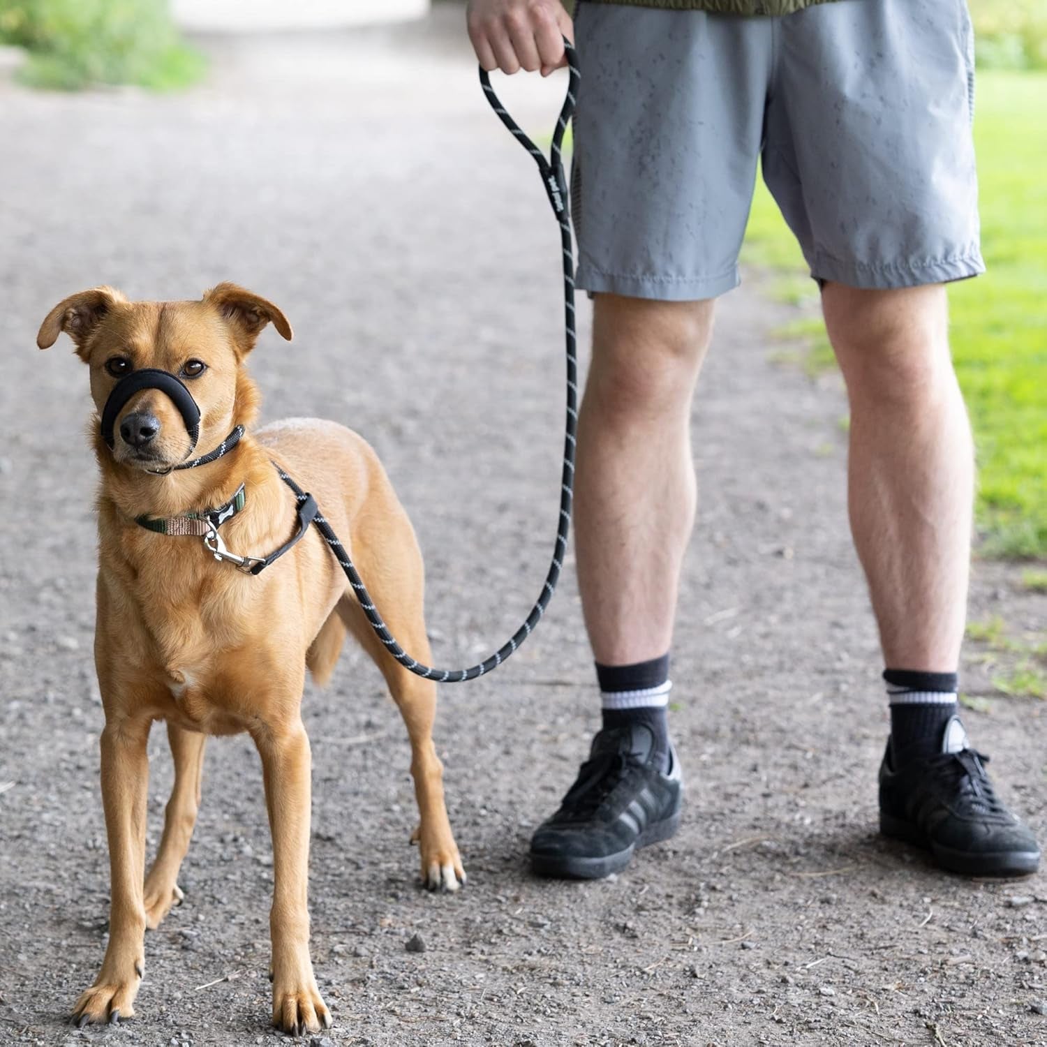 Figure of 8 Anti-Pull Dog Lead – Padded Nose Rope Slip Lead for Medium & Large Dogs