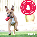 KONG Extreme Dog Toy – Durable Natural Rubber Treat Dispenser & Chew Toy for Power Chewing Large Dogs