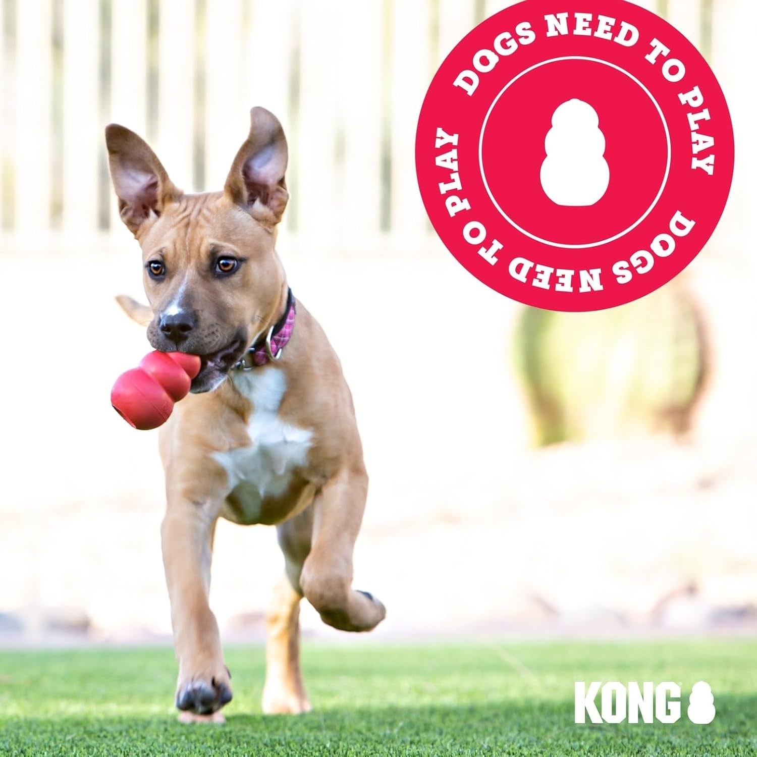 KONG Extreme Dog Toy – Durable Natural Rubber Treat Dispenser & Chew Toy for Power Chewing Large Dogs