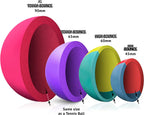 SPORTSPET High Bounce Natural Rubber Dog Balls