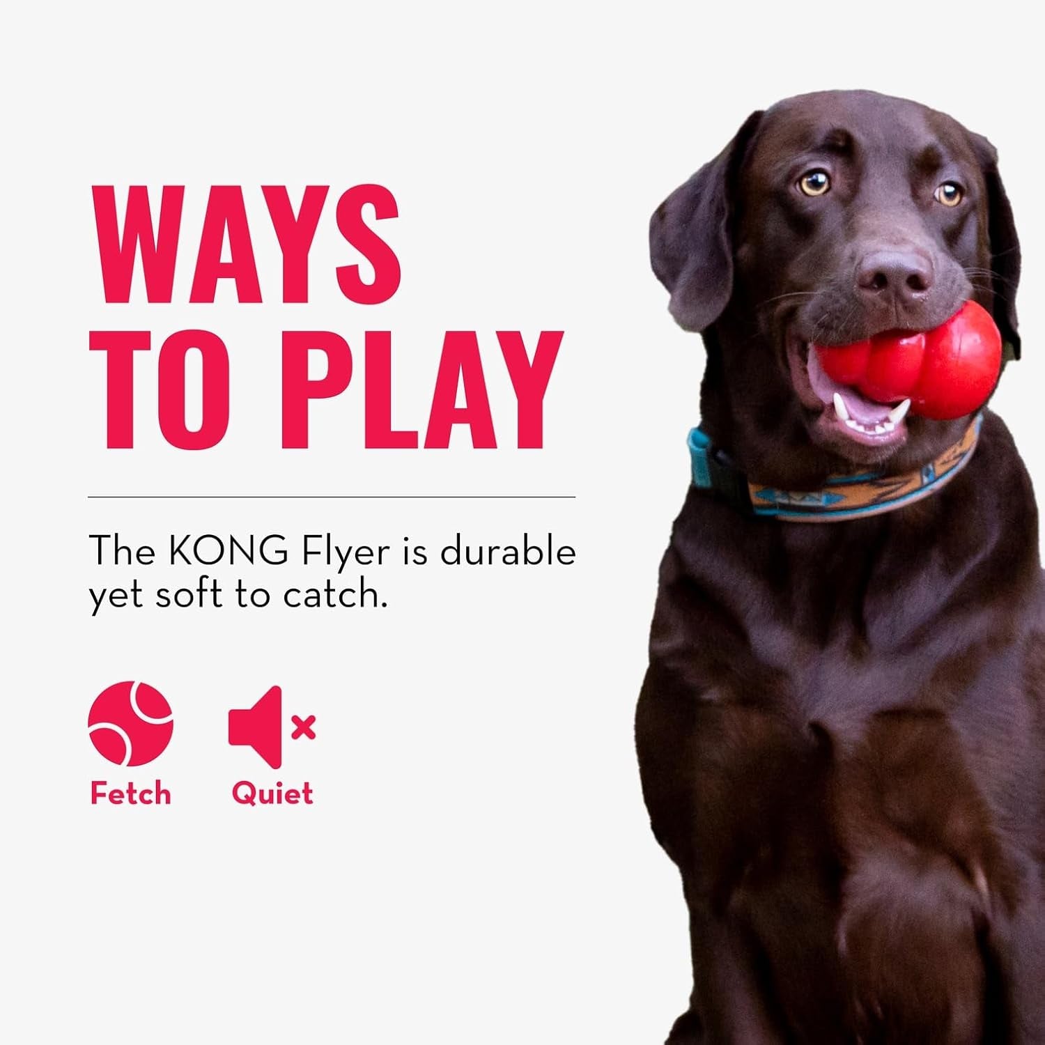 KONG Flyer Natural Rubber Flying Disc – Durable Fetch Toy for Small Dogs
