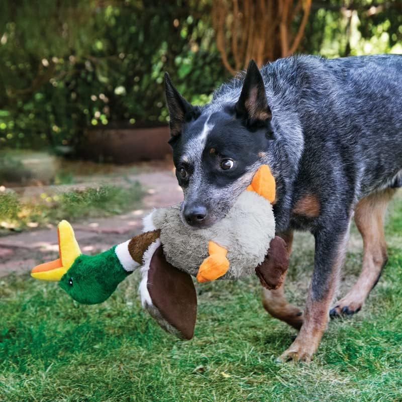 KONG Shakers Honkers Duck Dog Toy – Plush Squeaky Fetch Toy for Small Dogs