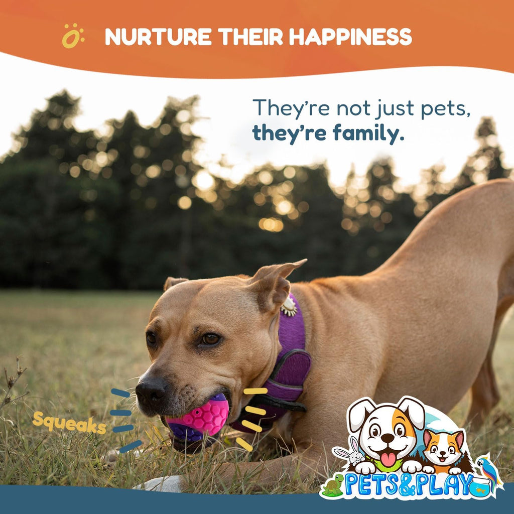 Pets & Play Squeaky Rubber Dog Balls – 6 Pack Durable TPR Chew Balls for Small & Medium Dogs