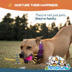 Pets & Play Squeaky Rubber Dog Balls – 6 Pack Durable TPR Chew Balls for Small & Medium Dogs