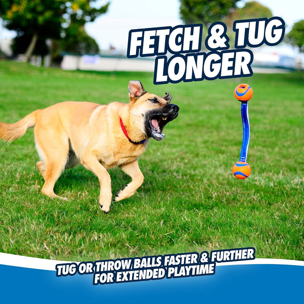 Chuckit Ultra Tug Duo Dog Toy – Two-Ball Tug of War & Fetch Toy for All Dogs