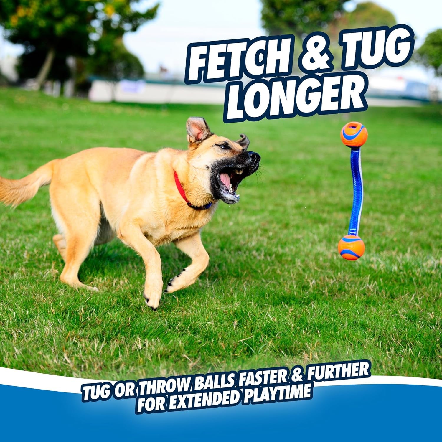 Chuckit Ultra Tug Duo Dog Toy – Two-Ball Tug of War & Fetch Toy for All Dogs