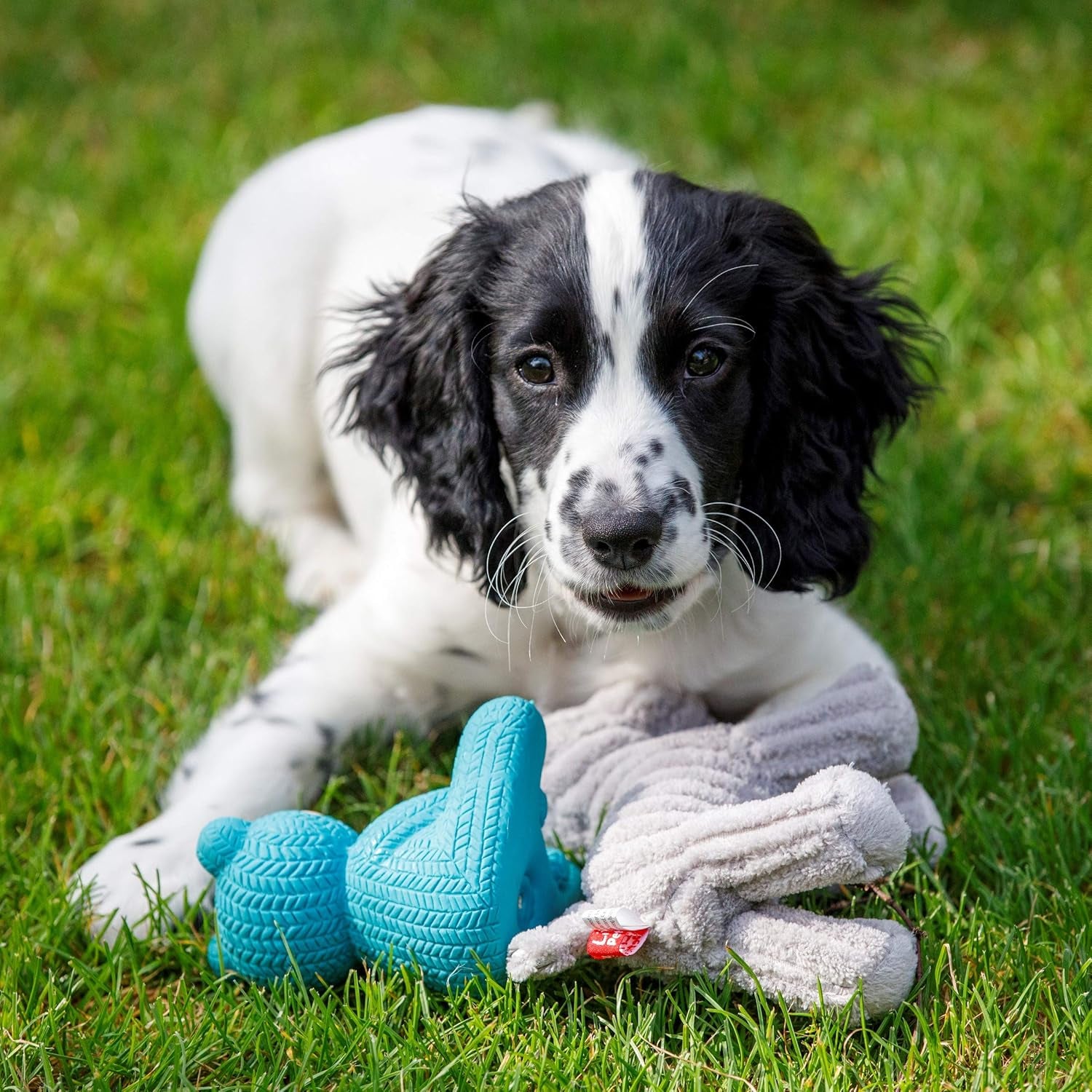Petface Latex Teddy Bear Squeaky Dog Toy – Soft Blue Chew Toy for Puppies & Small Dogs