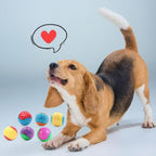 6-Pack Squeaky Rubber Dog Balls – Interactive Fetch & Chew Toy for Small & Medium Dogs (6.5cm)