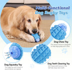 Rugby Squeaky Dog Chew Toy – Tough Nylon & Rubber Teeth Cleaning Toy for Aggressive Chewers & Large Dogs