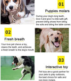 10-Pack Natural Cotton Rope Dog Toys – Puppy Chew & Tug Toy Set for Small & Medium Dogs