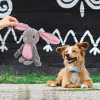 Easter Bunny Squeaky Plush Dog Toy – Soft Chew Toy with Rope Legs for Small, Medium & Large Dogs