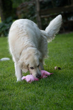 Petface Flat Pig Crinkle Squeaky Dog Toy – Soft Plush Farmyard Buddy for Dogs