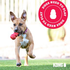 KONG Flyer Natural Rubber Flying Disc – Durable Fetch Toy for Small Dogs