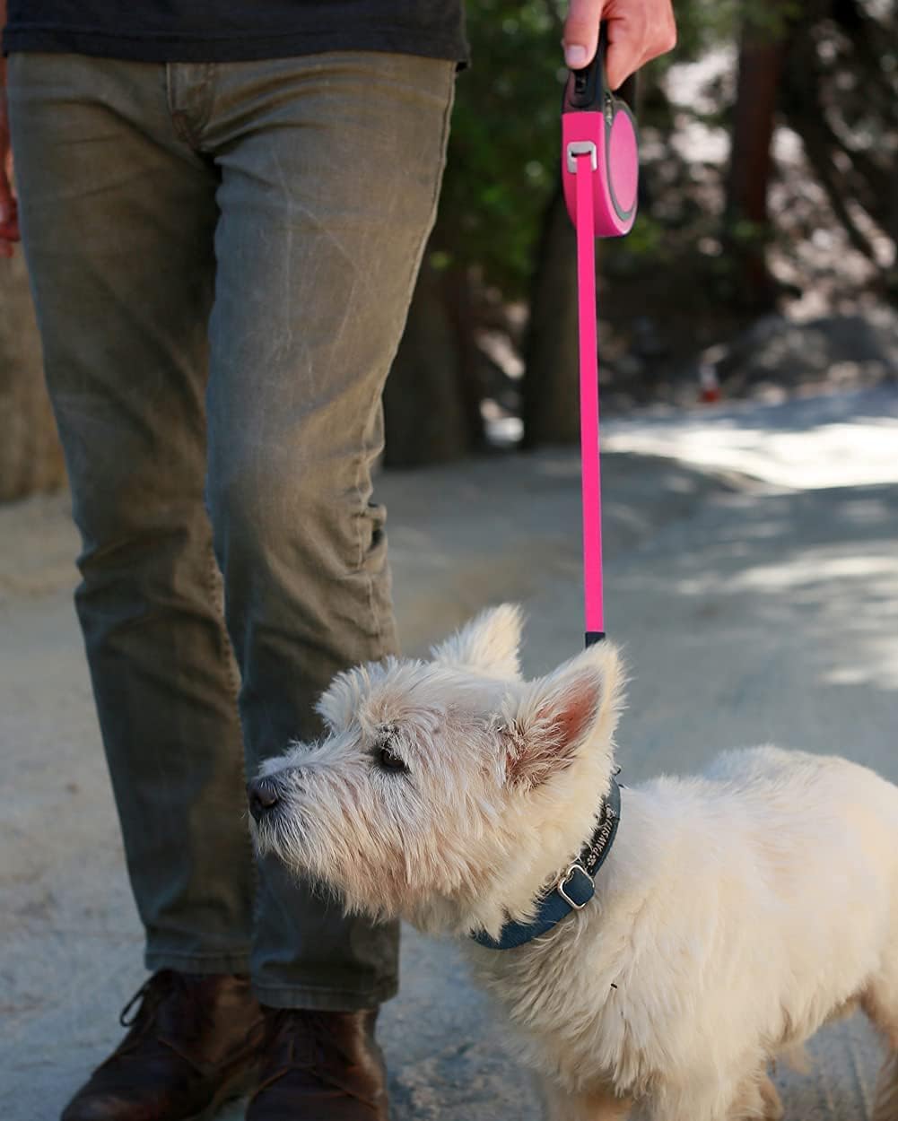 Retractable Dog Lead 5M – No-Tangle Heavy Duty Nylon Extendable Leash for Small & Medium Dogs
