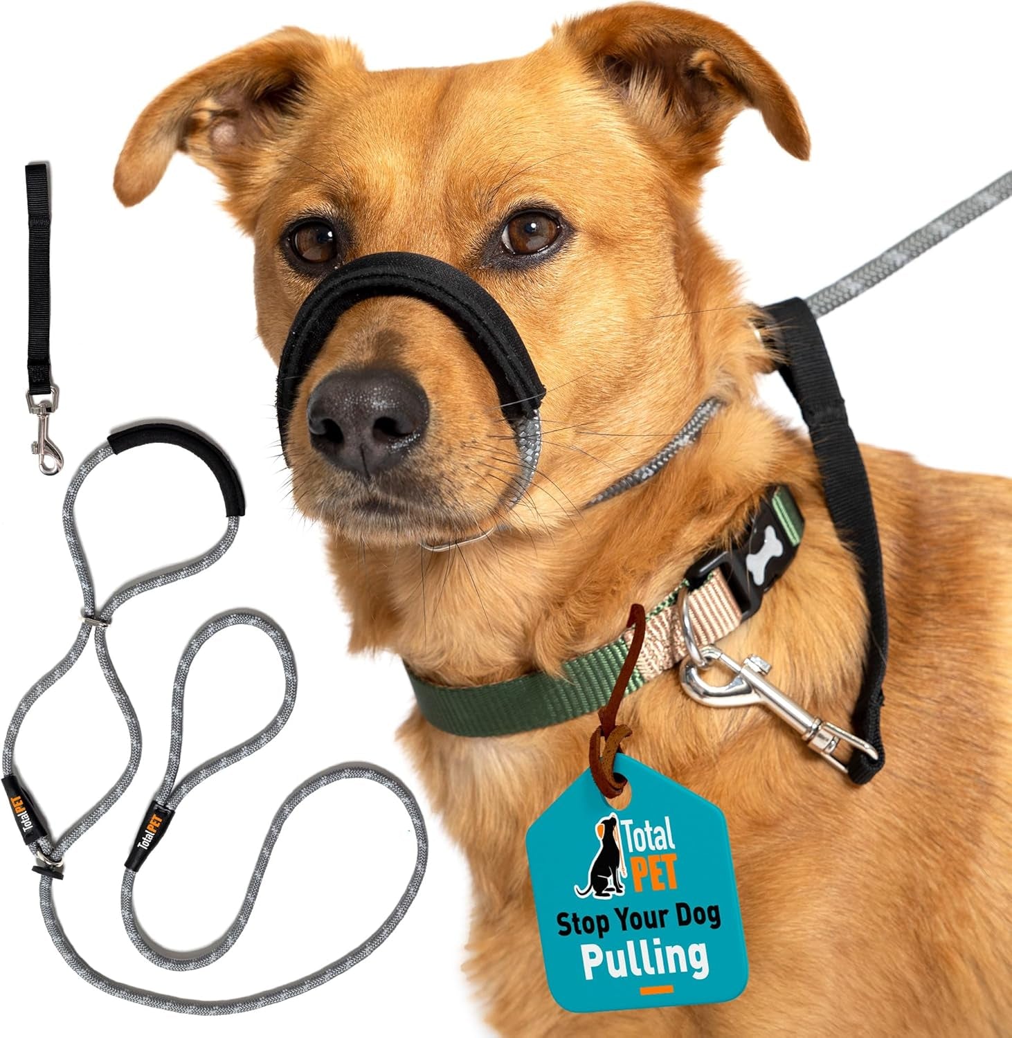 Figure of 8 Anti-Pull Dog Lead – Padded Nose Rope Slip Lead for Medium & Large Dogs