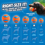 Chuckit Ultra Ball – High Bounce Durable Rubber Fetch Dog Ball, Launcher Compatible 