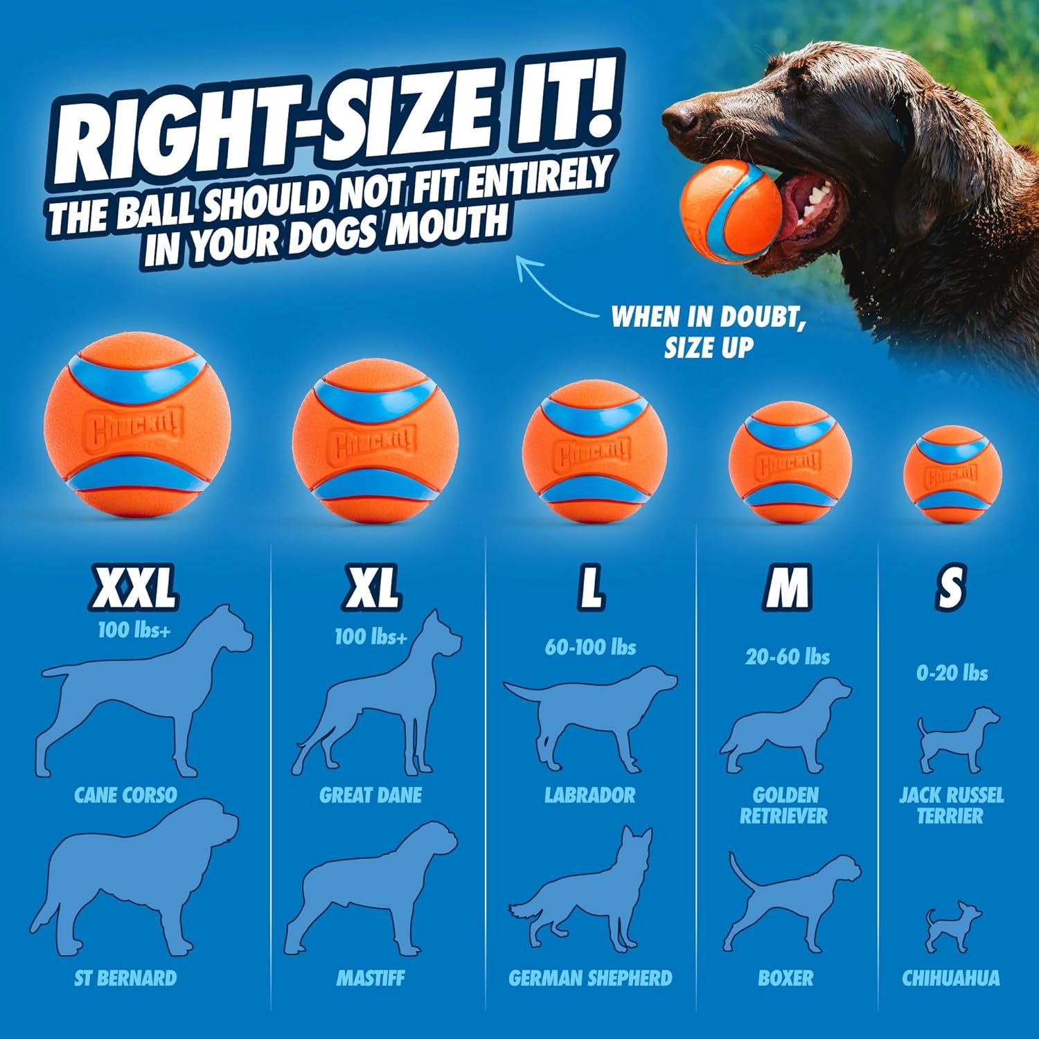 Chuckit Ultra Ball – High Bounce Durable Rubber Fetch Dog Ball, Launcher Compatible 