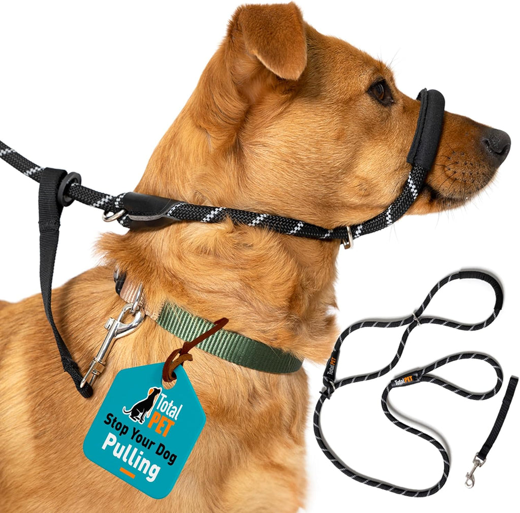 Figure of 8 Anti-Pull Dog Lead – Padded Nose Rope Slip Lead for Medium & Large Dogs