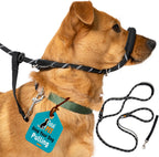 Figure of 8 Anti-Pull Dog Lead – Padded Nose Rope Slip Lead for Medium & Large Dogs