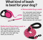 Retractable Dog Lead 5M – No-Tangle Heavy Duty Nylon Extendable Leash for Small & Medium Dogs