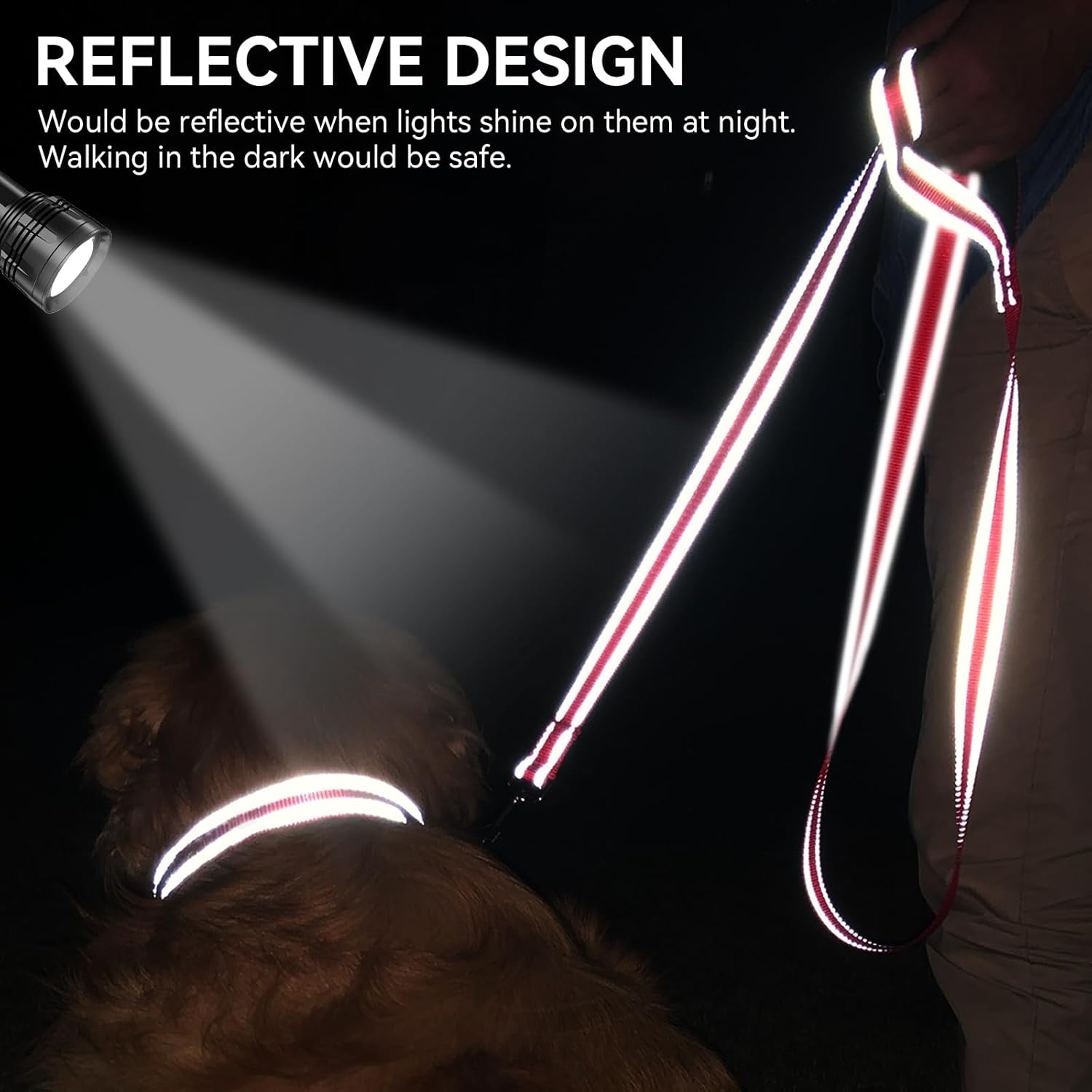 Joytale Padded Handle Dog Lead – Double-Sided Reflective Nylon Walking Leash for Small & Medium Dogs 