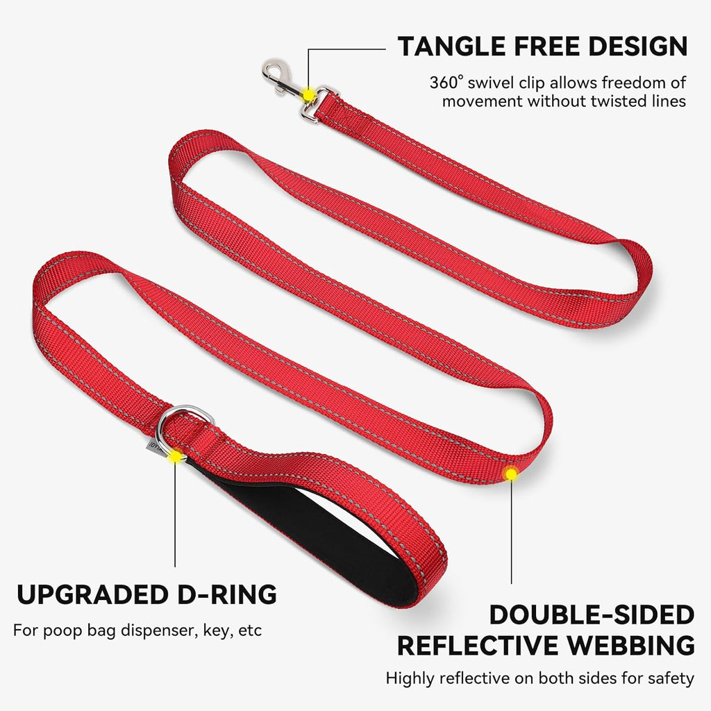 Joytale Padded Handle Dog Lead – Double-Sided Reflective Nylon Walking Leash for Small & Medium Dogs 