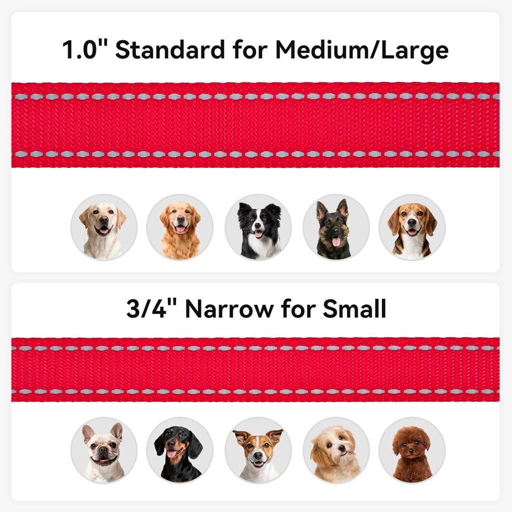 Joytale Padded Handle Dog Lead – Double-Sided Reflective Nylon Walking Leash for Small & Medium Dogs 